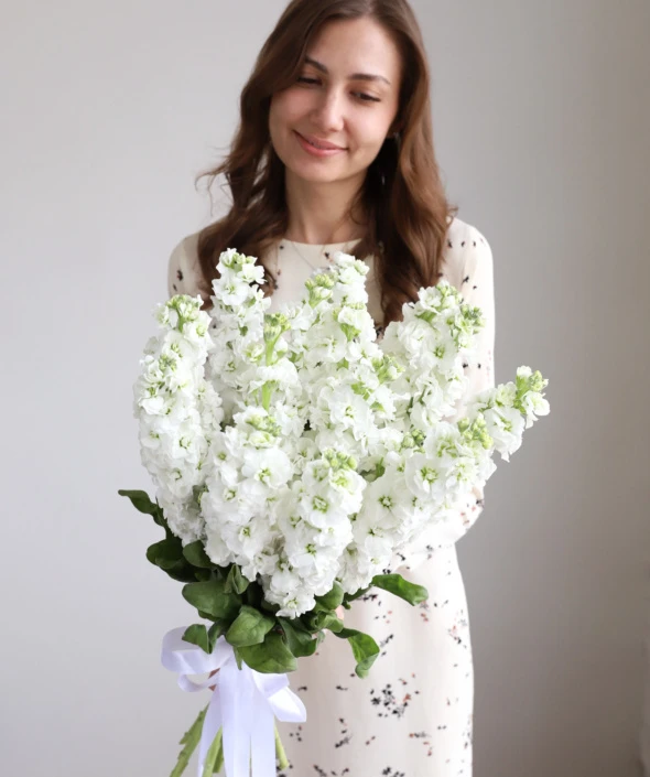 Ароматная маттиола в ленту (15 шт)